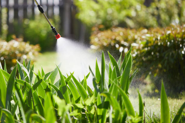 24/7 Emergency Mosquito Control experts in Maumee, OH